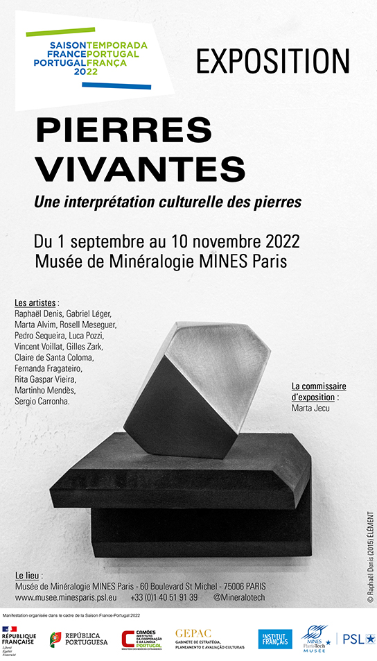 Importante collection de minéraux et tranches de pierres…